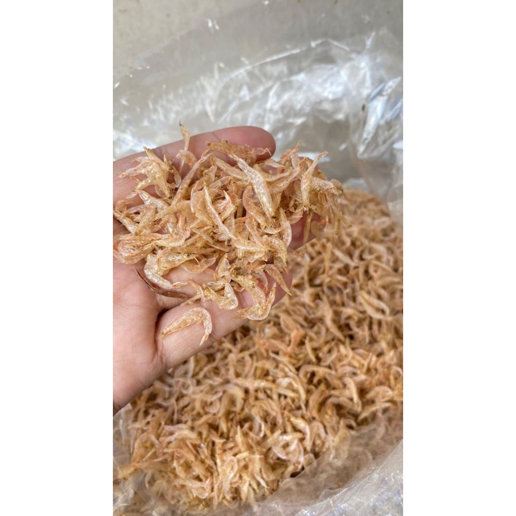 

Udang Rebon Tawar Jumbo Kemasan 500 Gram & 1 Kg