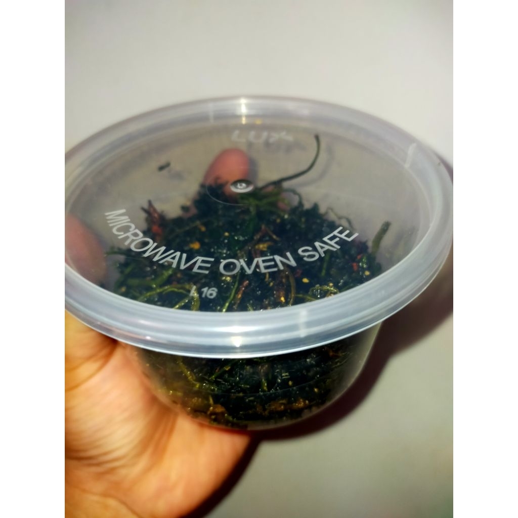 

Kangkung Goreng Viral