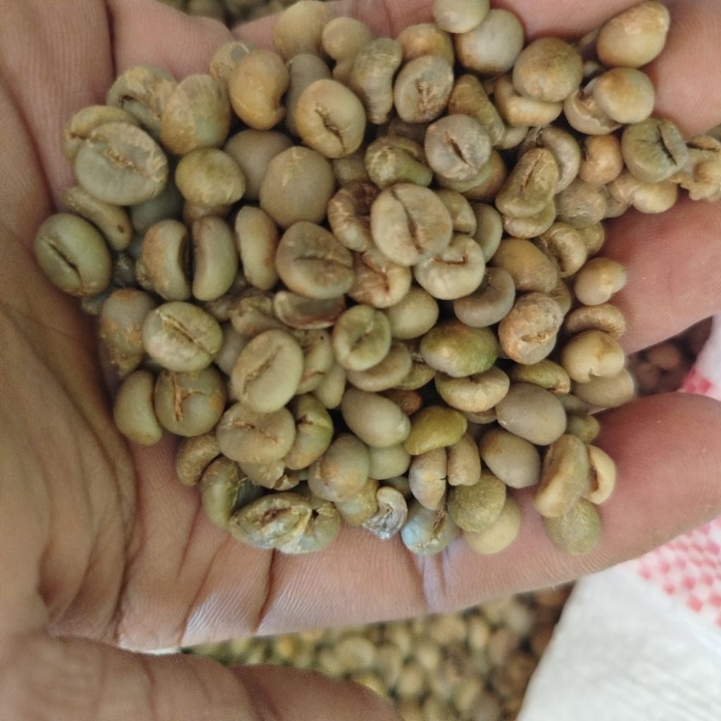 

kopi robusta asli pegunungan gucialit lumajang,