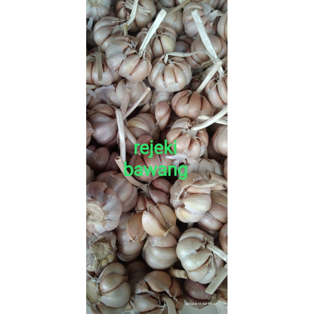 

bawang putih sinco pilihan berkualitas