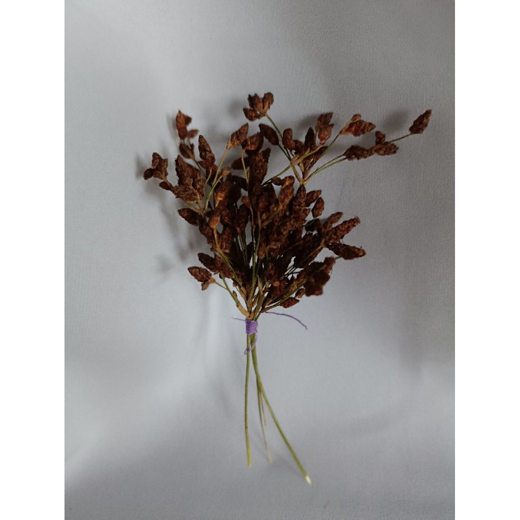 Bunga Hiasan Bunga Kering