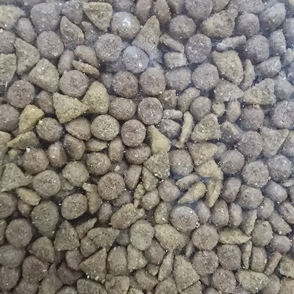 Tuna Chicken // Makanan kucing kemasan 1kg dryfood anak dewasa kitten baby untuk penggemuk badan dan