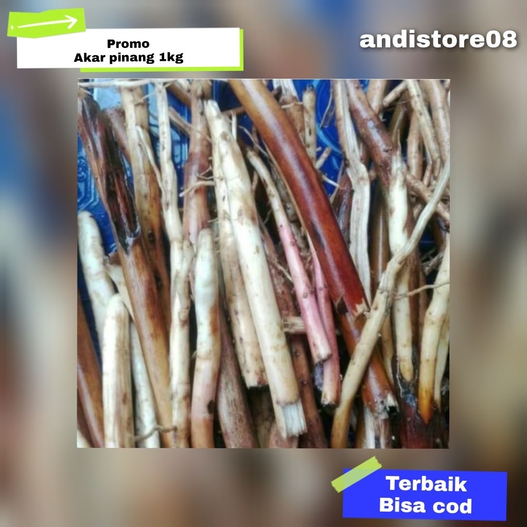 

akar pinang asli udah bersih 1kg