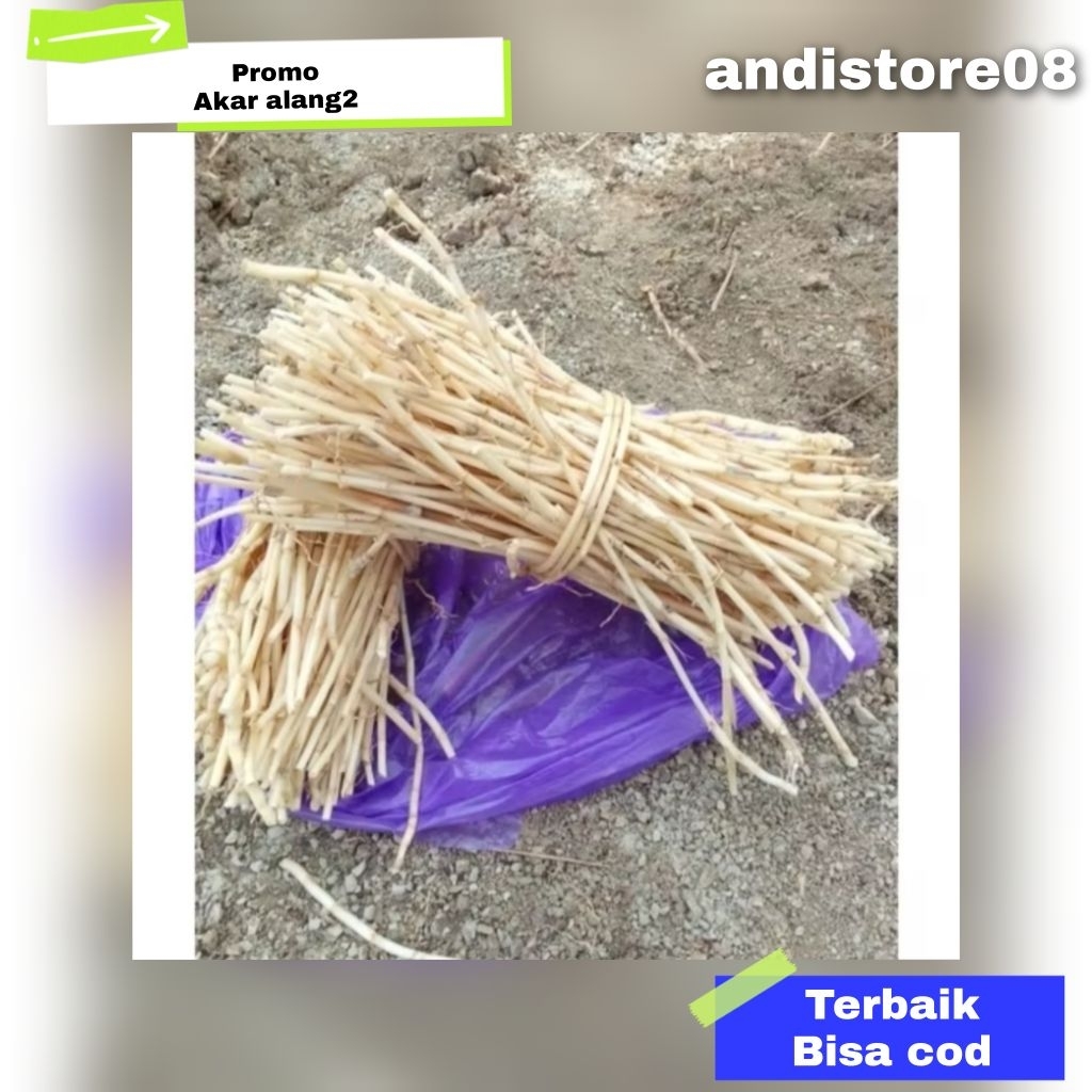 

akar alang alang super 500g