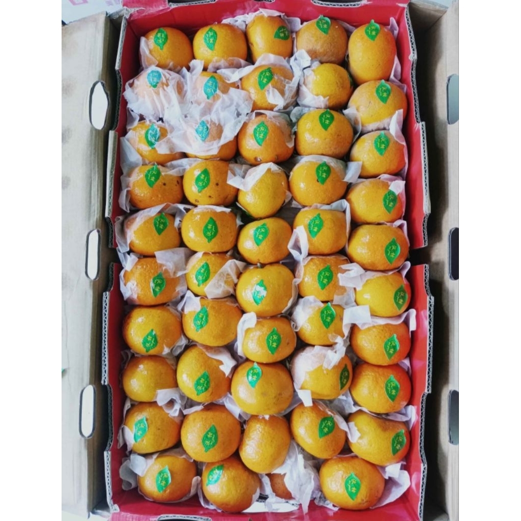 

JERUK WOGAN MANDARIN JUMBO MANIS SEGAR 800 gram