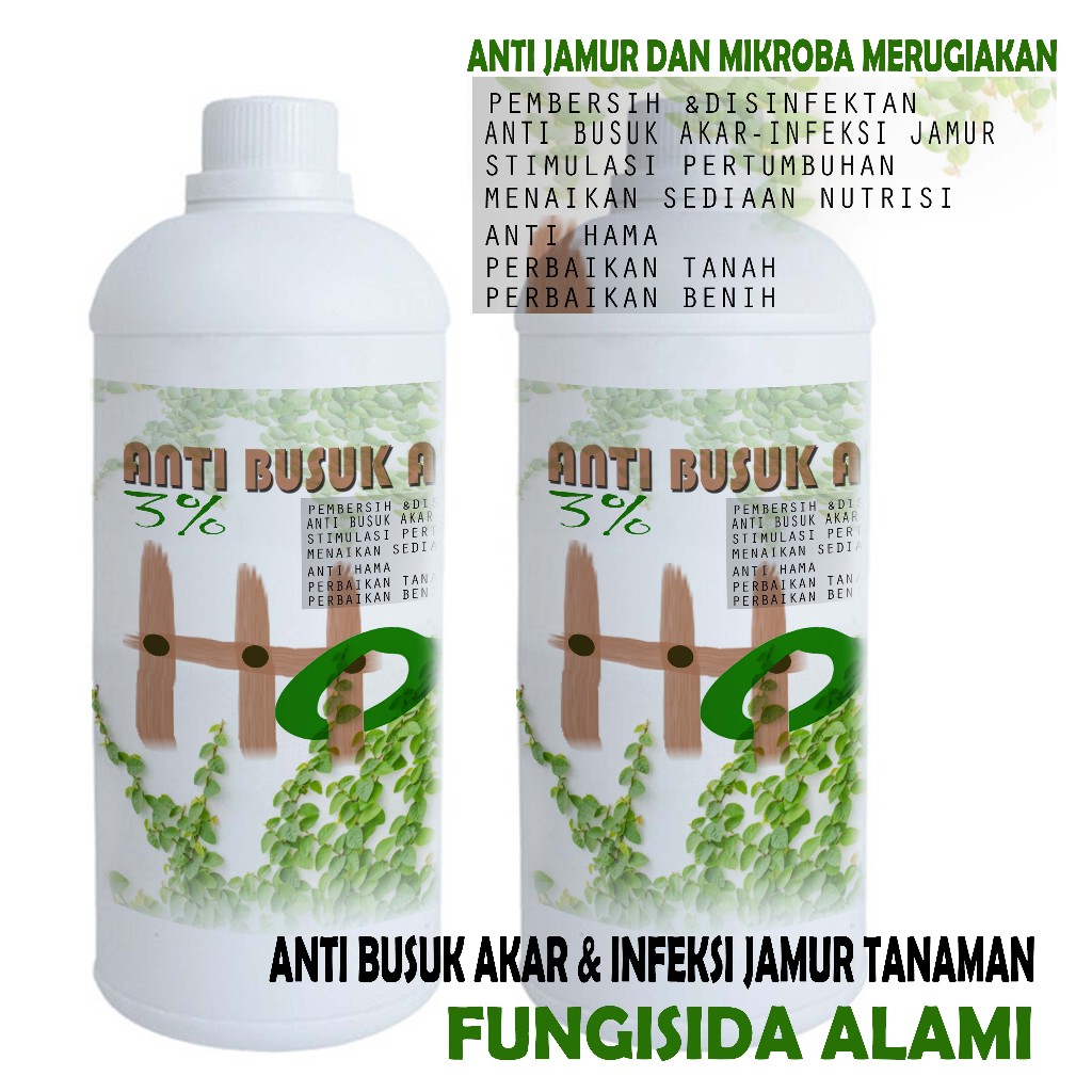 Anti busuk akar 1 liter Fungisida alami pengendali hama penyakit tanaman RS519