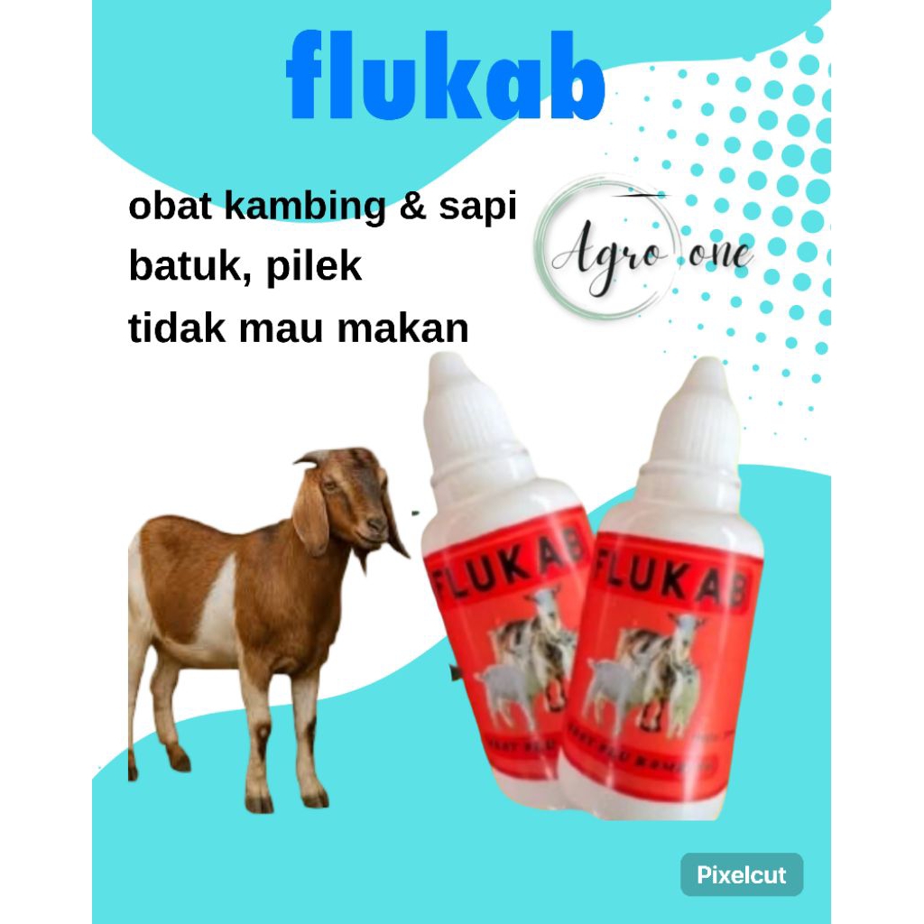 FLUKAB obat batuk, pilek kambing&sapi