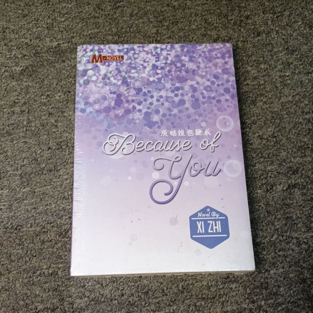 Novel Because of You