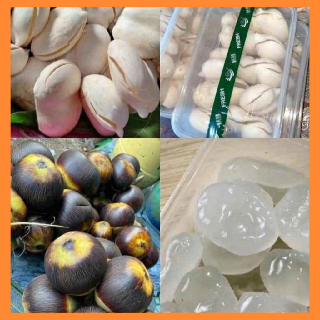 

BUAH SIWALAN UTUH BUNDAR ISI 3 MATA