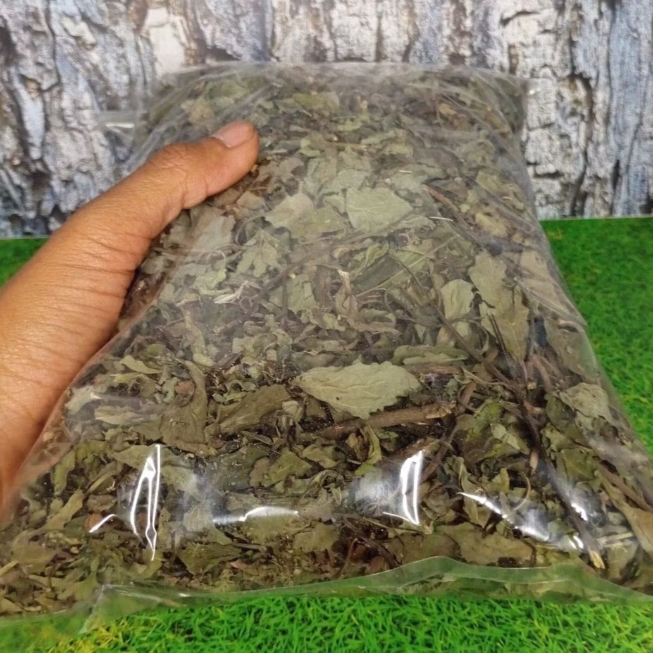 

Daun kumis kucing kering 100 gram