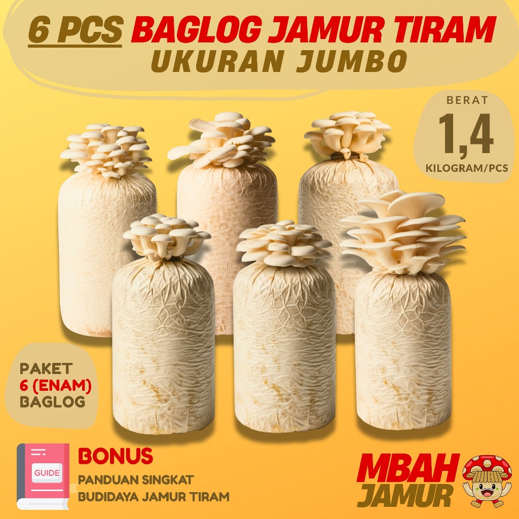 

6 Pcs Baglog Jamur Tiram Putih Jumbo | Media Tanam Siap Tumbuh Bonus Panduan Budidaya