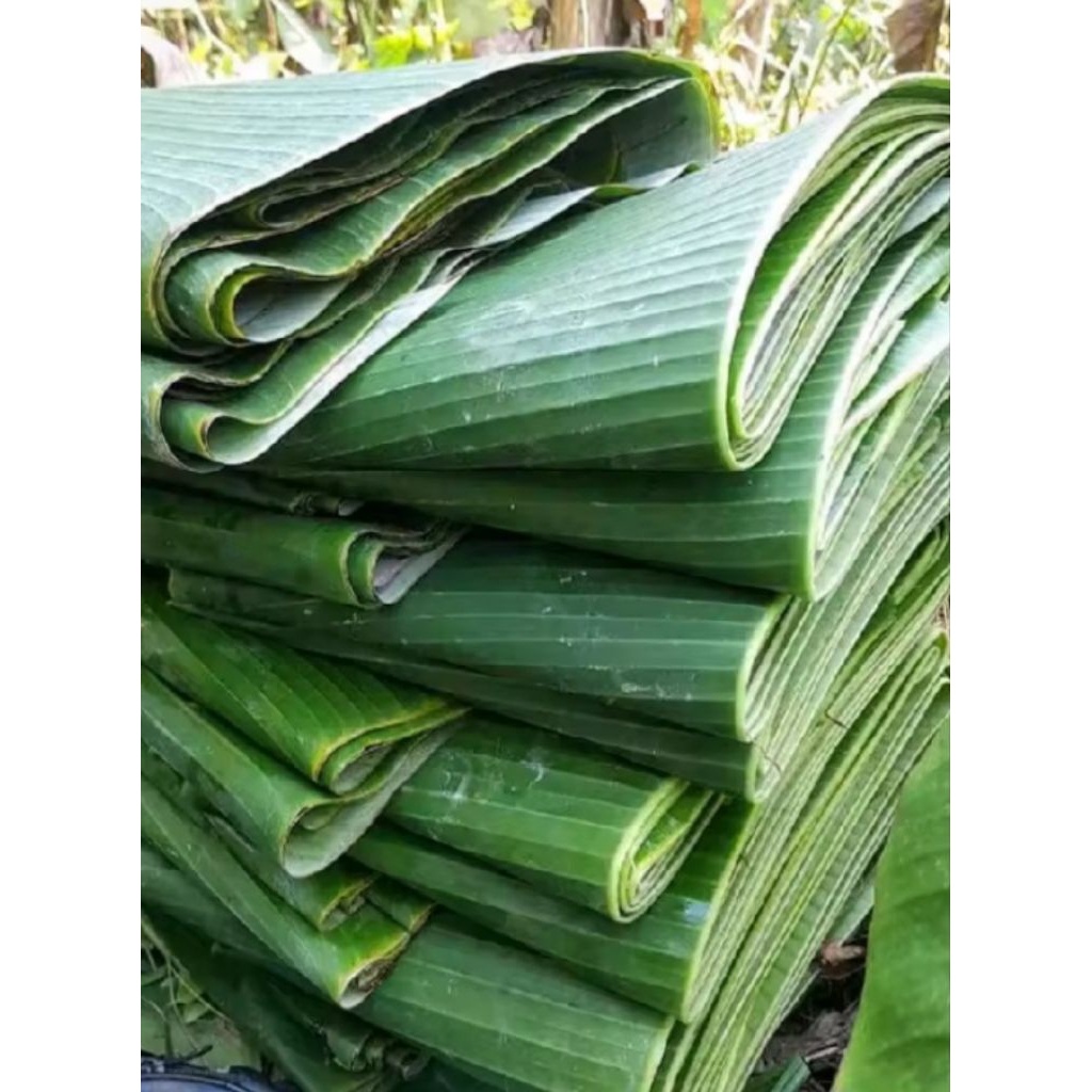 

Daun pisang segar/1kg
