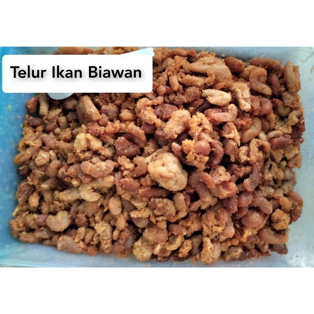 

Telur Ikan Biawan Asin / Telur Asin Biawan / Bawan / Telor Ikan Biawan / Gurami Pencium / Telur Biawan Kalimantan Barat