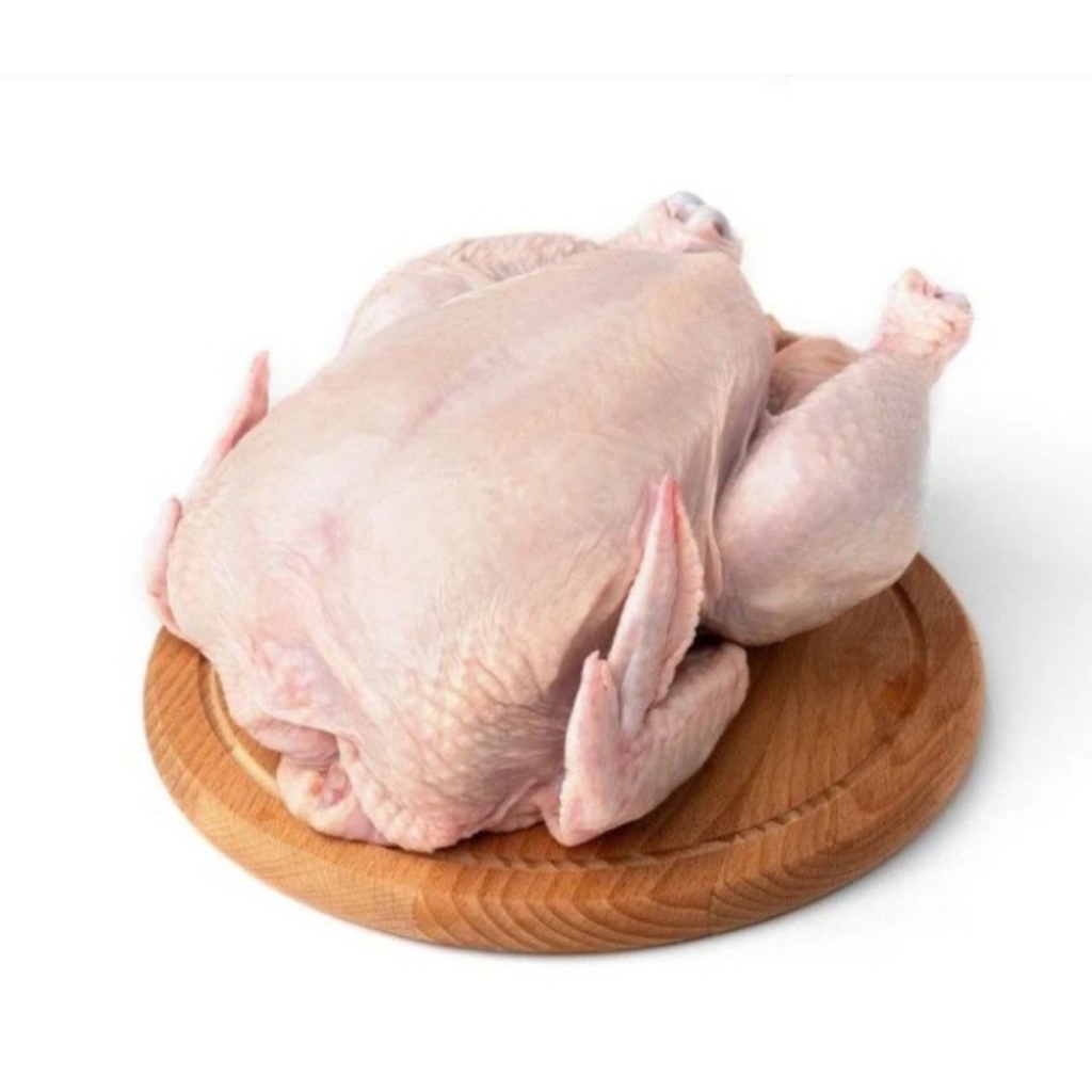 

Ayam FS 1 Ekor