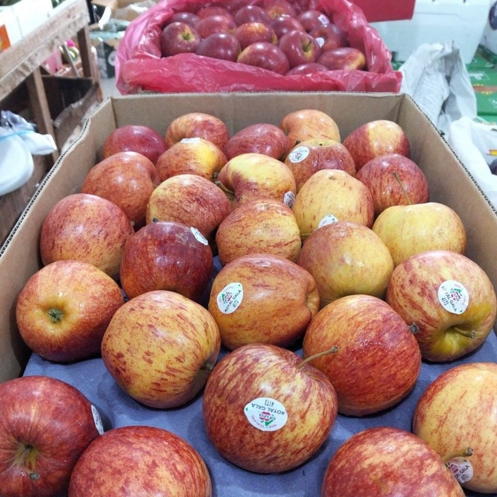 

Apel Royal Gala New Zealand super manis & Garing fresh 1kg