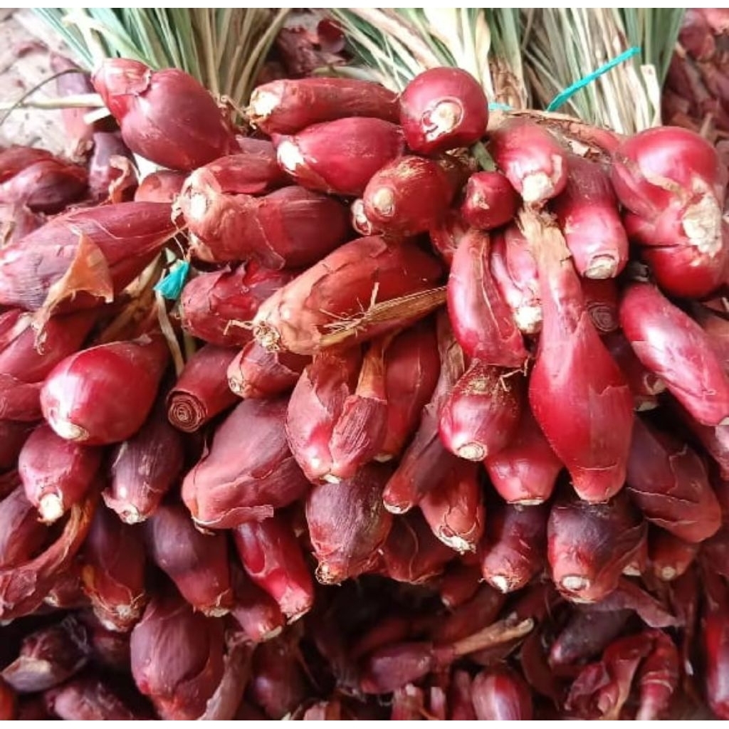 

BAWANG DAYAK BABAWANGAN 500 GR