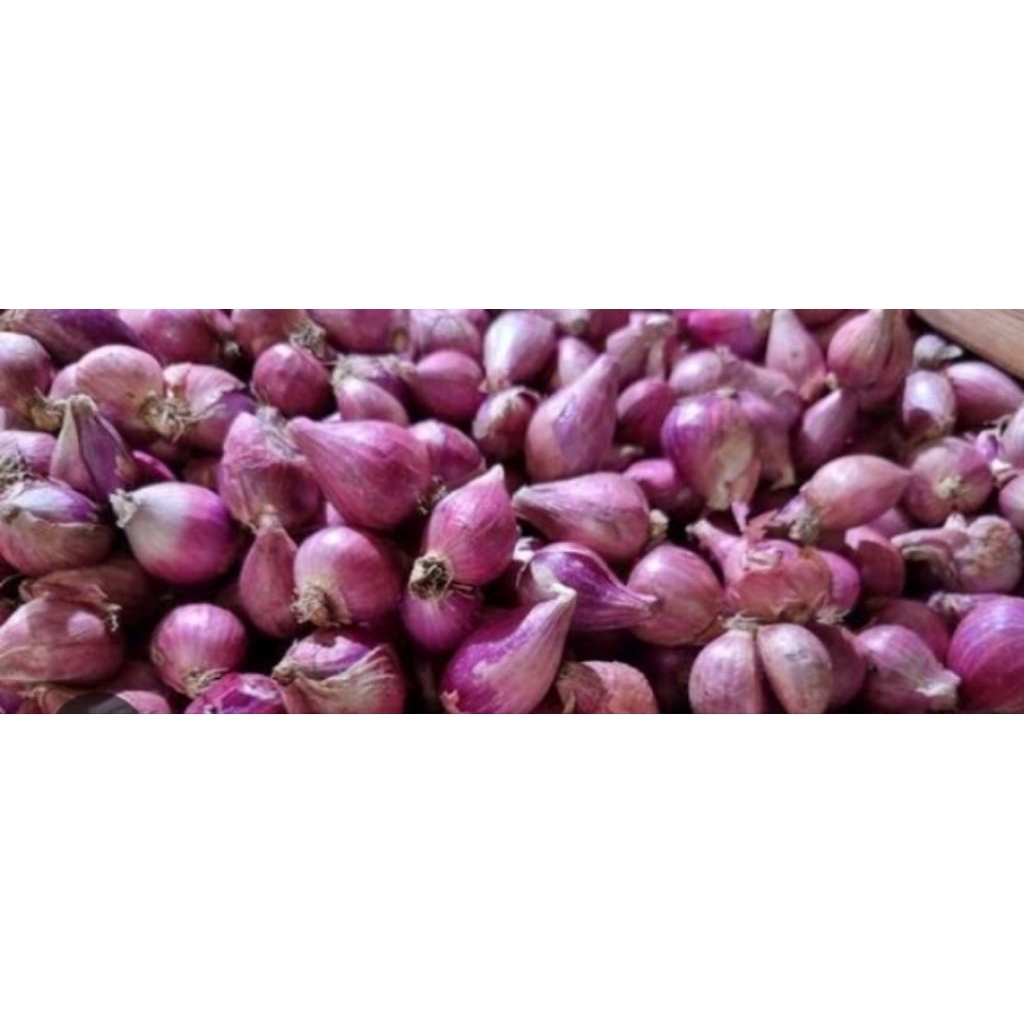 

bawang merah super 1 kg 55rb