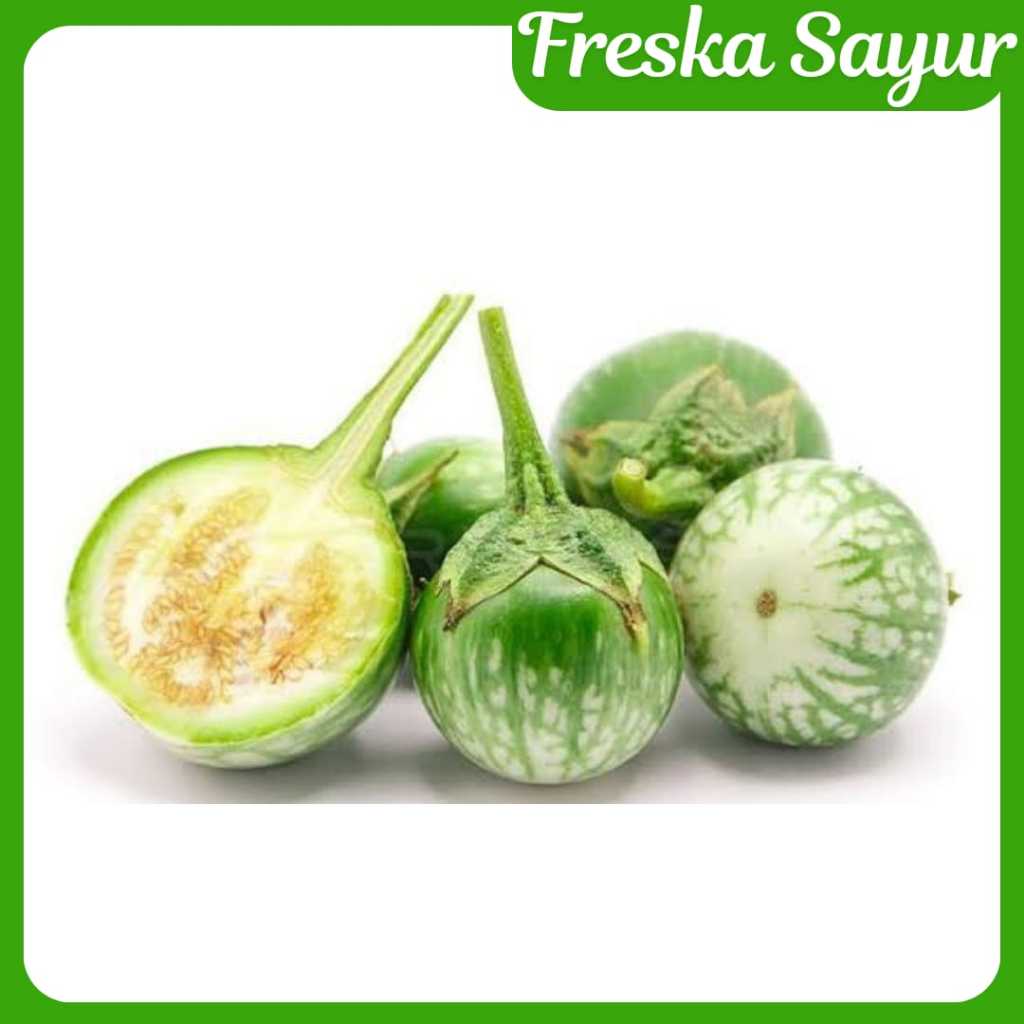 

Terong Bulat Lalap Fresh 250 gr I Cocok Untuk Pecinta Sayur Lalapan