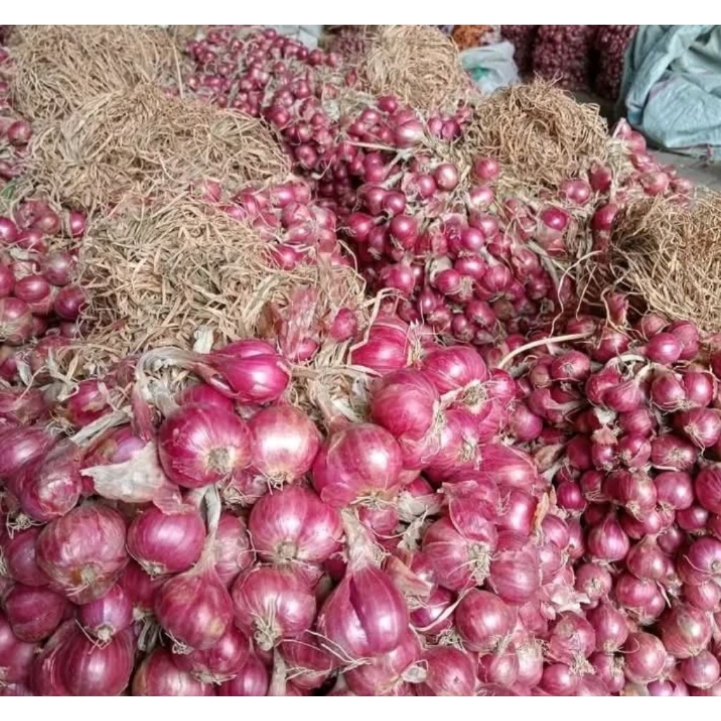 

Bawang Merah Ukuran Sedang 1Kg.