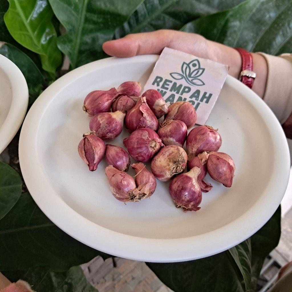 

Bawang Merah Probolinggo 3/4kg