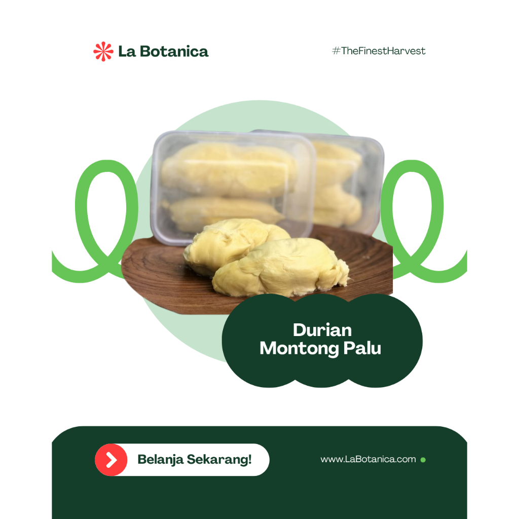 

King Fruit Durian Beku Premium Montong Palu | Rasa Legit