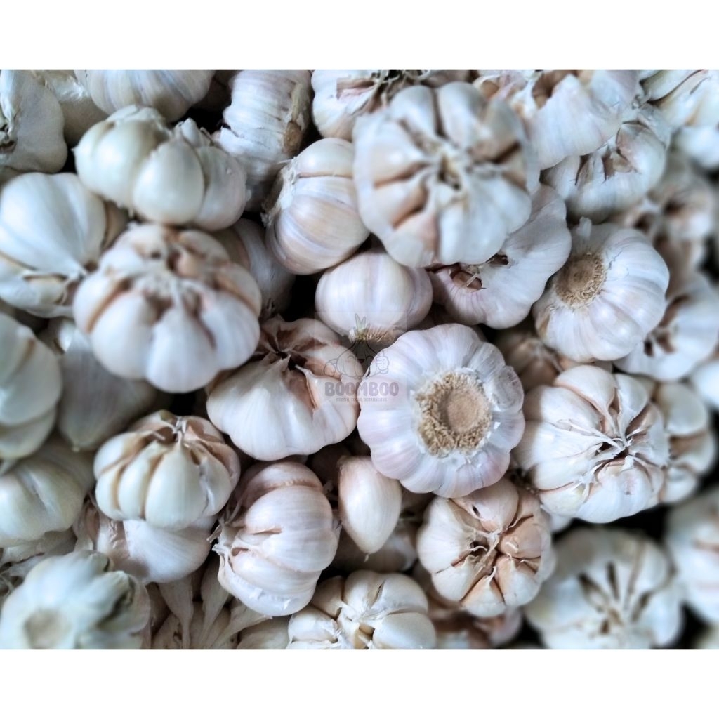 

BAWANG PUTIH Murah Berkualitas 1Kg/500gr/250gr
