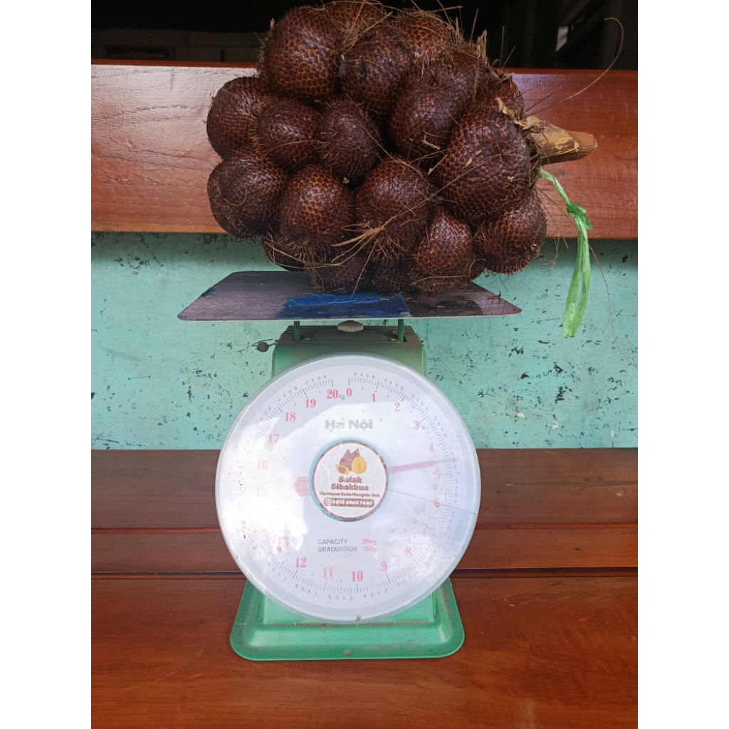 

Salak Sibakkua (Sidimpuan)