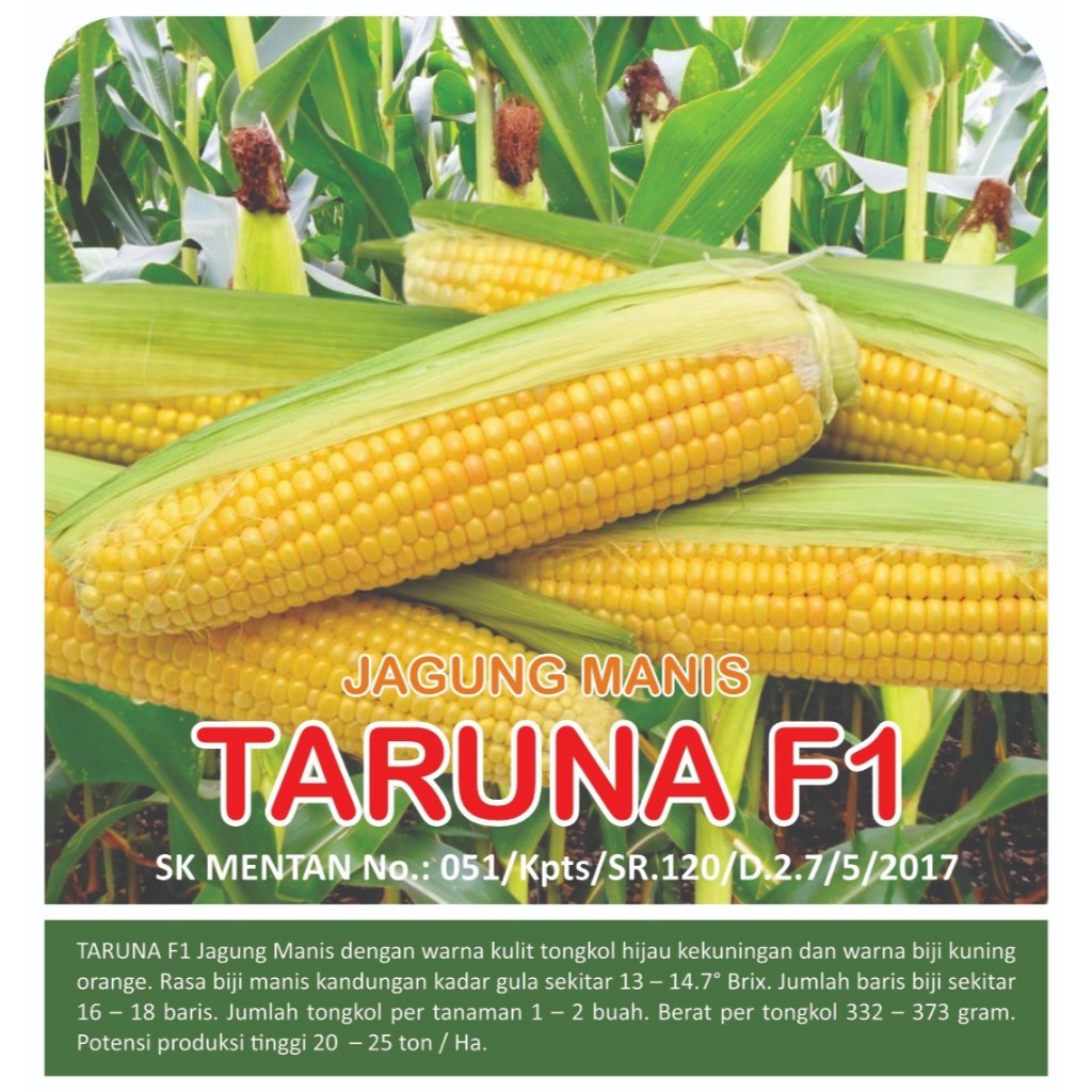 

TARUNA F1 Jagung Nanis