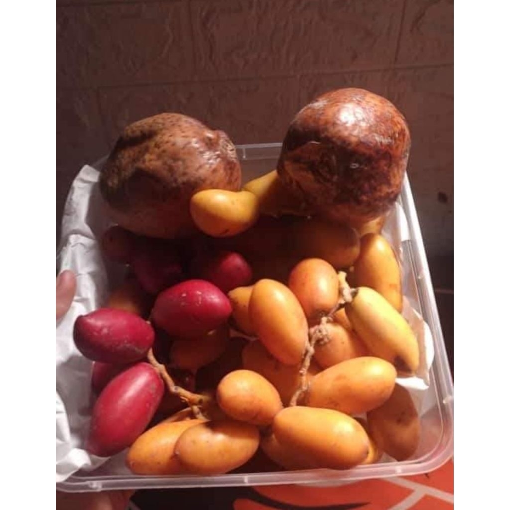 

Camilan 1/2 Kg Kurma Muda