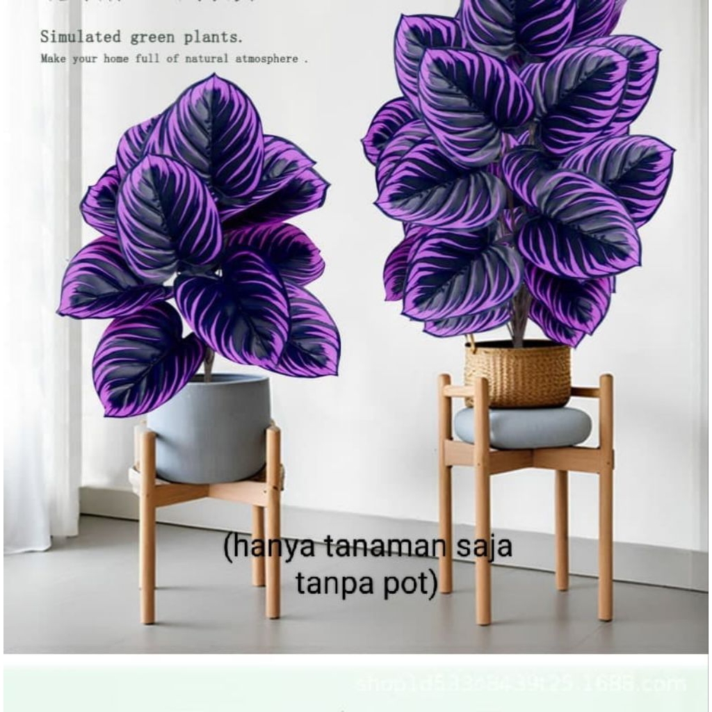 tanaman hias plastik keladi ungu(dijual keladi saja tanpa pot)