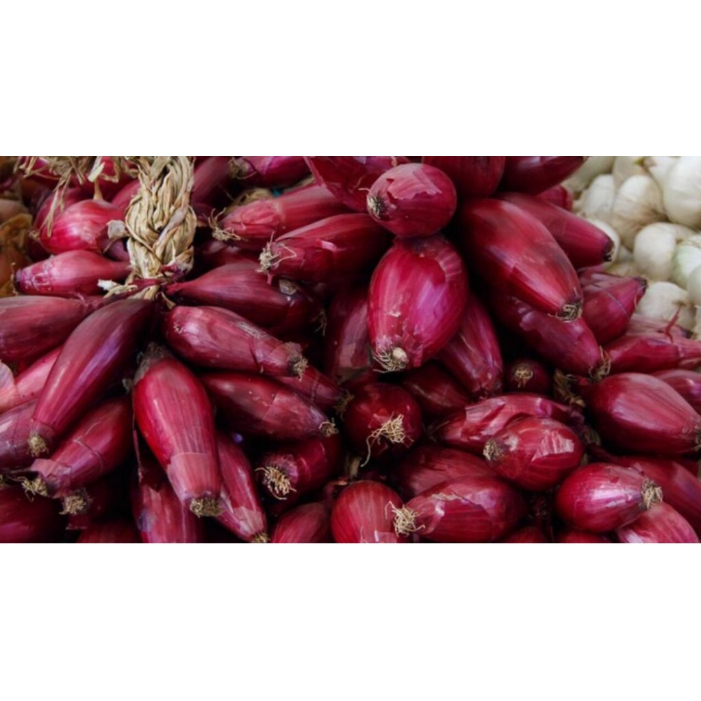 

bawang dayak segar dan masih frehs 100gr