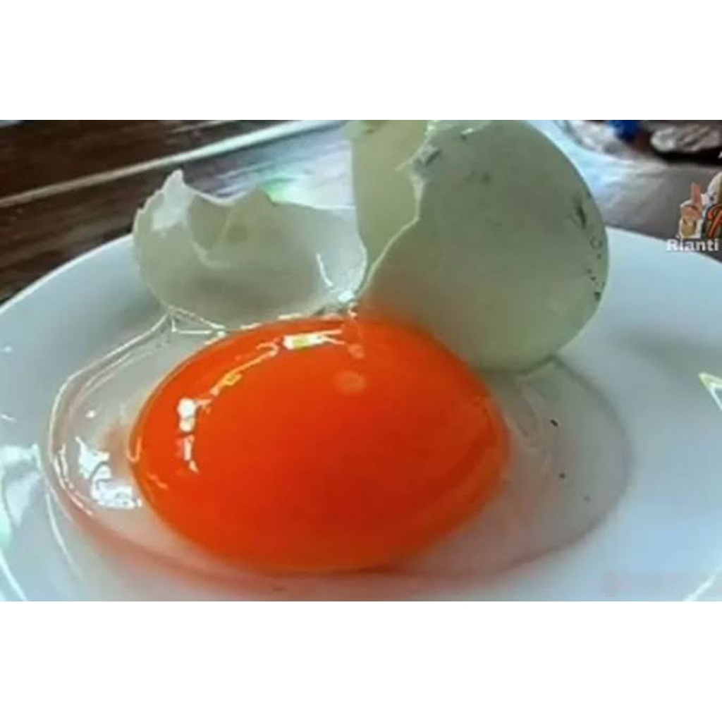 

(Gosend) Telur Bebek Mentah Tawar Asli Ternak Kandang / Telur Bebek Omega / Telur Bebek Asli