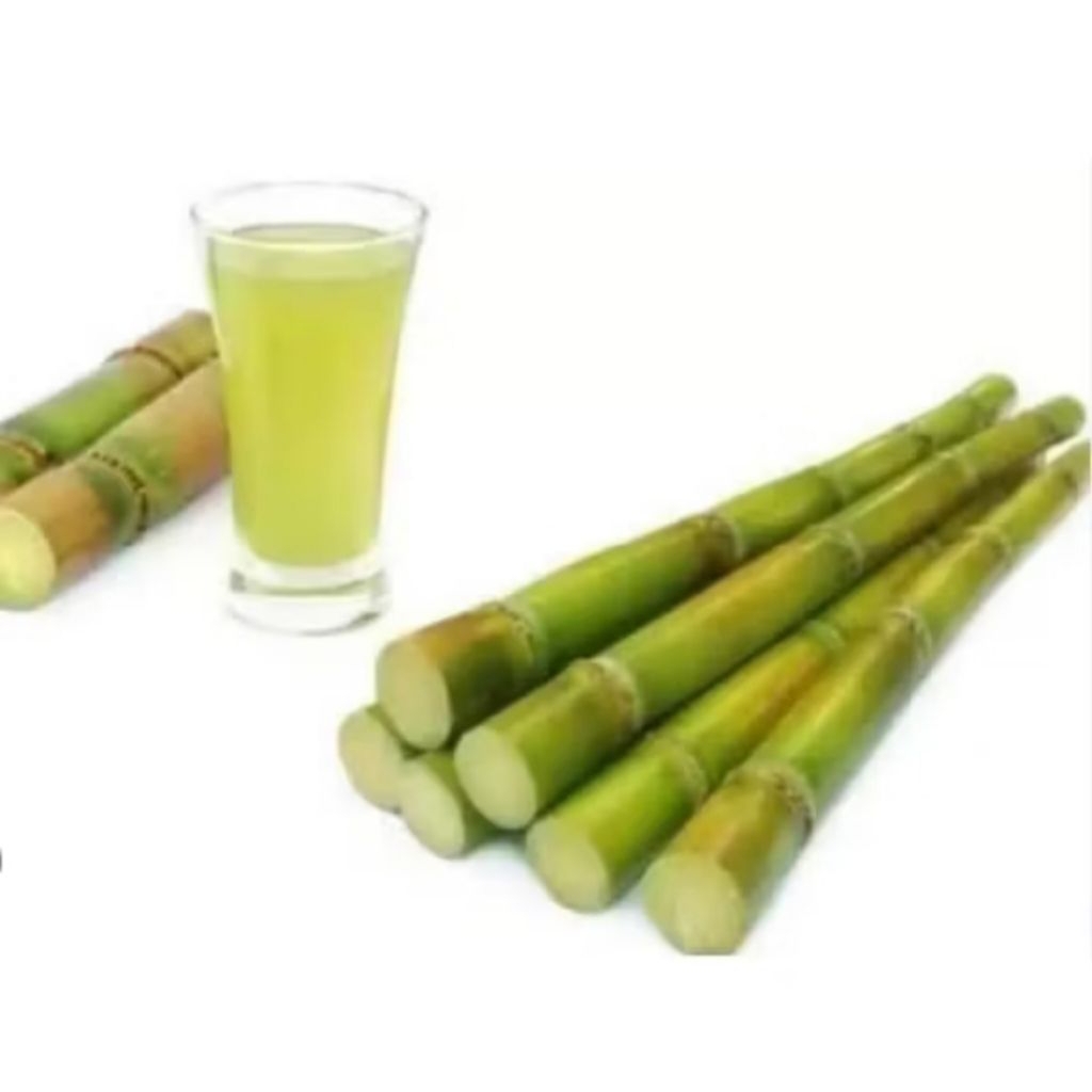 

batang tebu hijau segar 1kg