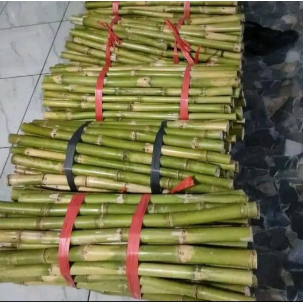 

tebu hijau segar untuk es tebu 1kg