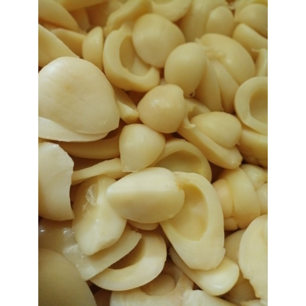 

asinan / Manisan buah salak bali manis seger 400 gram