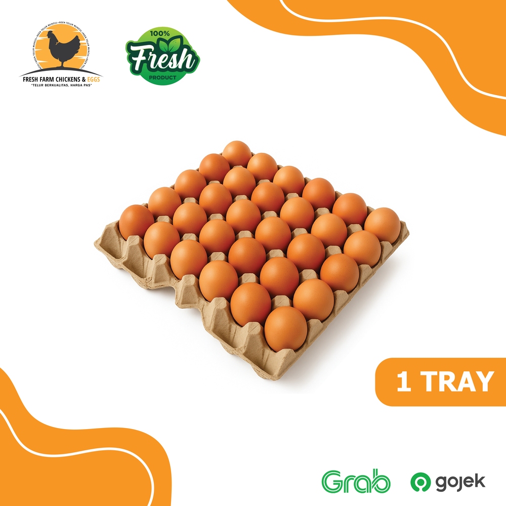 

Telur Ayam Negeri Premium Fresh Grade A - 1 Tray Isi 30 Pcs
