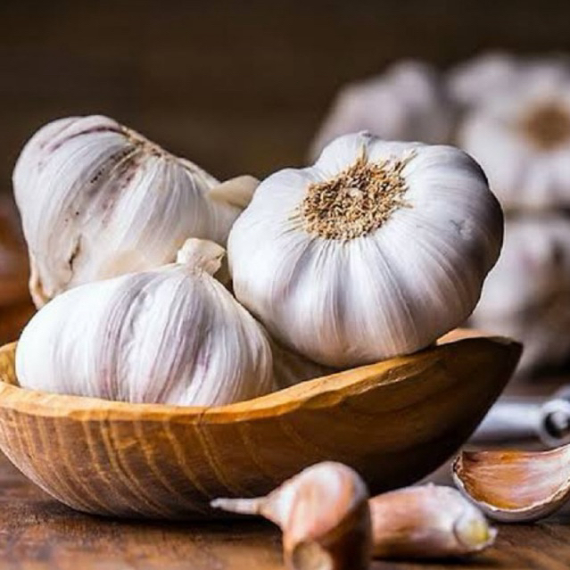 

Bawang Putih tersedia 500g-1kg (dst)