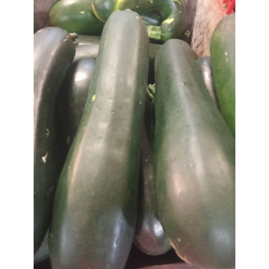

zukini 1kg