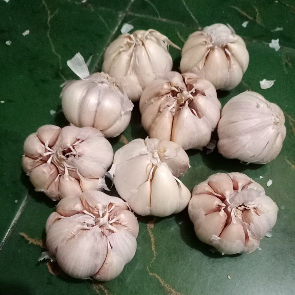 

1 kg bawang putih sico bersihan.