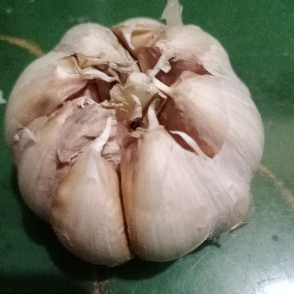 

250gr bawang putih sico.