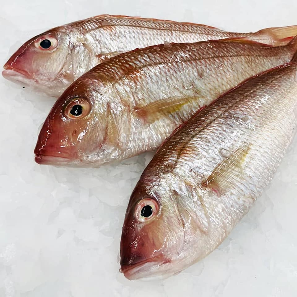 

Ikan Kurisi Segar Ikan Kerisi 1Kg