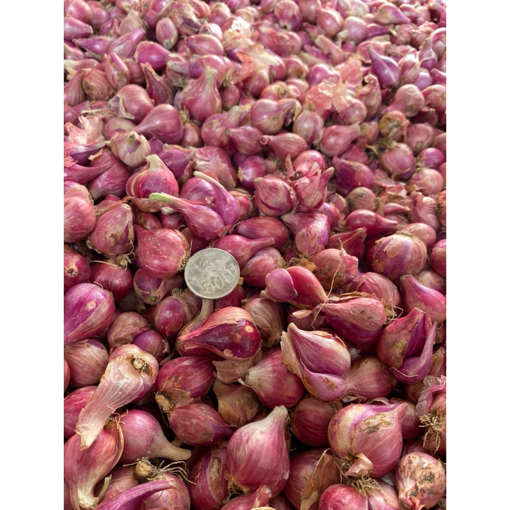 

Bawang Merah Tanggung Besar 500gr