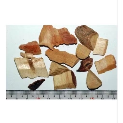 

100gr Wang Bu Liu Xing Gen Cow Soapwort Vaccaria Hispanica