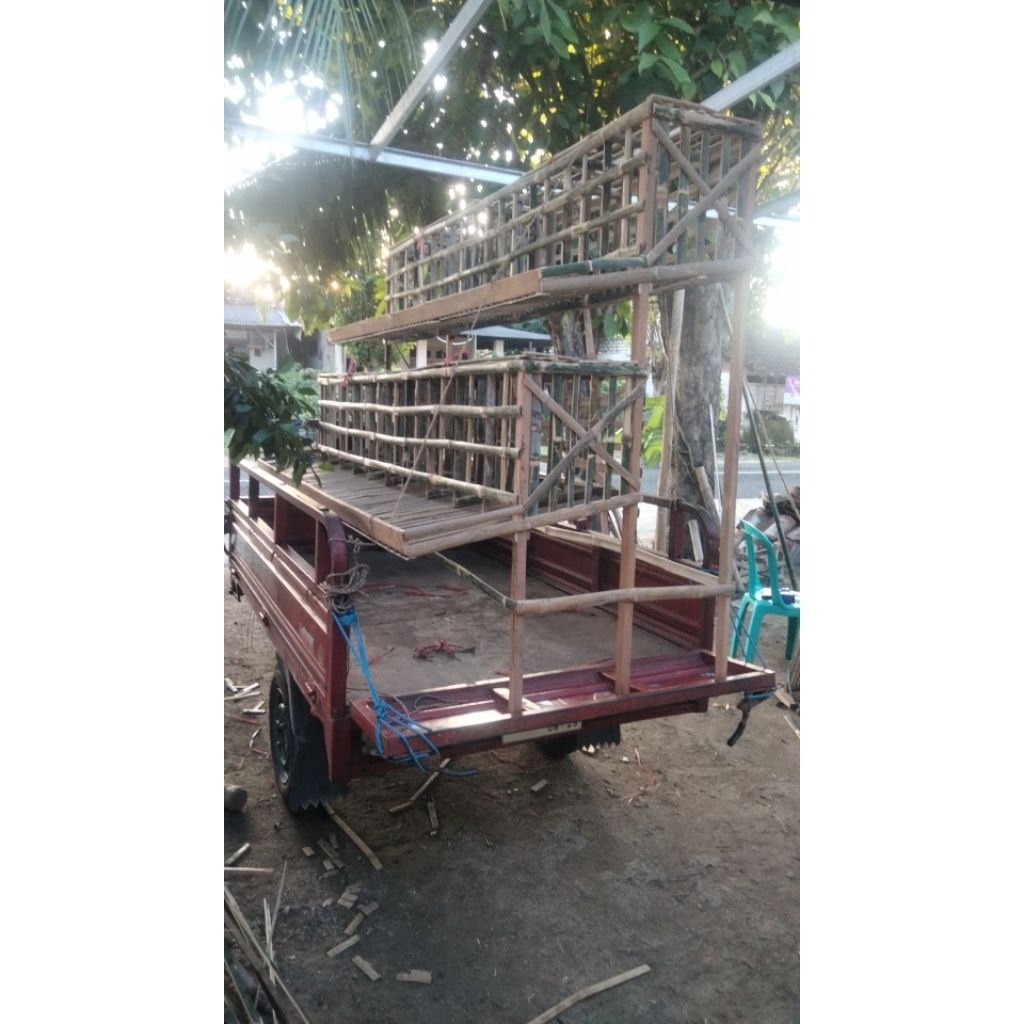 kandang ayam petelur