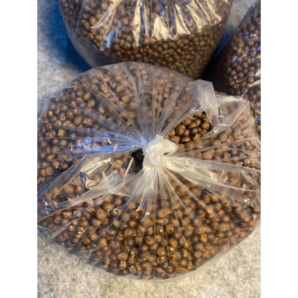 klenteng kapuk randu / klenteng biji kapuk randu