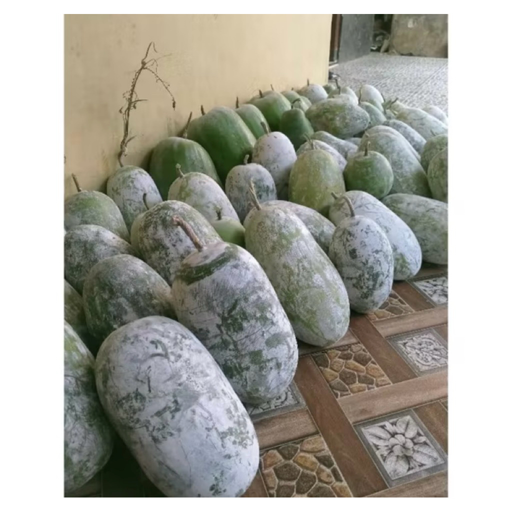 

BUAH BLIGO / BUAH KUNDUR / WINTER MELON HIGH QUALITY 2,1 - 2,6 KG
