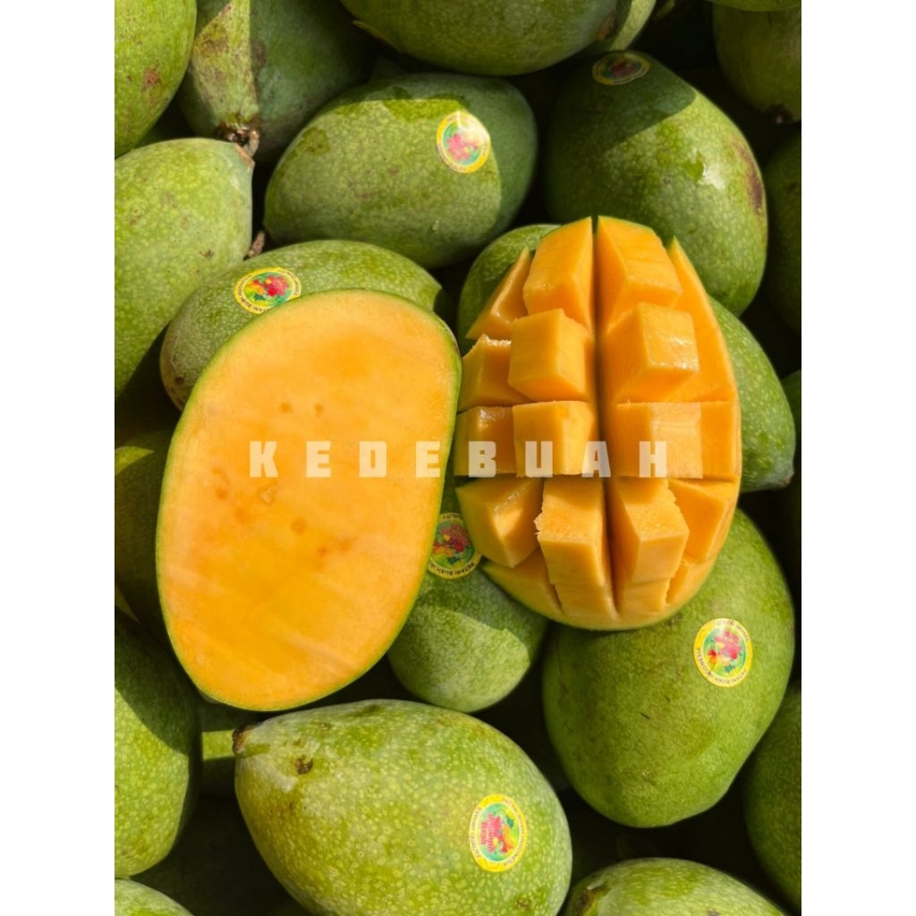 

Mangga Manalagi Madu Super (Buy 1 Kg free 1 Kg)