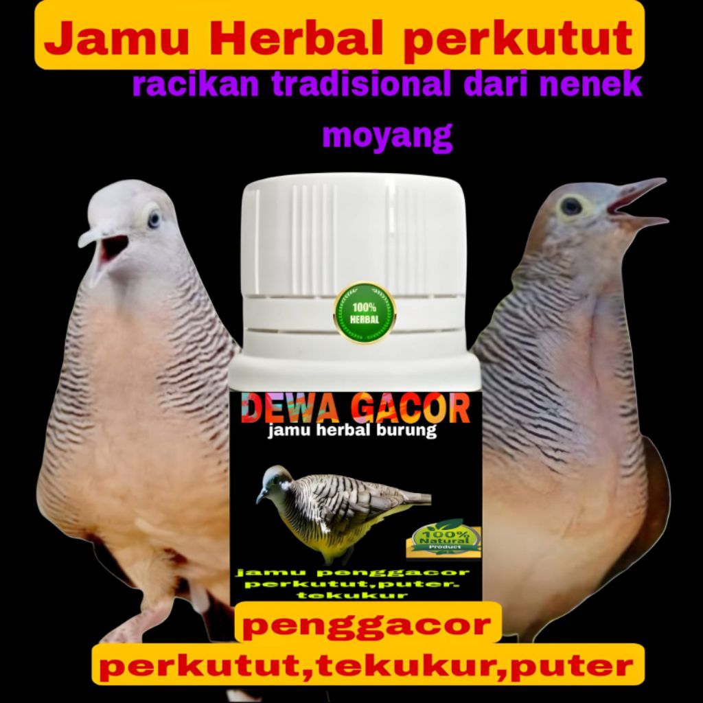 100 butir jamu perkutut DEWA GACOR  racikan herbal jamu perkutut warisan leluhur suplement vitamin p