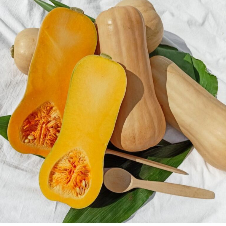 

Labu Madu l Labu Batternut l Labu Parang Jbp_Fresh