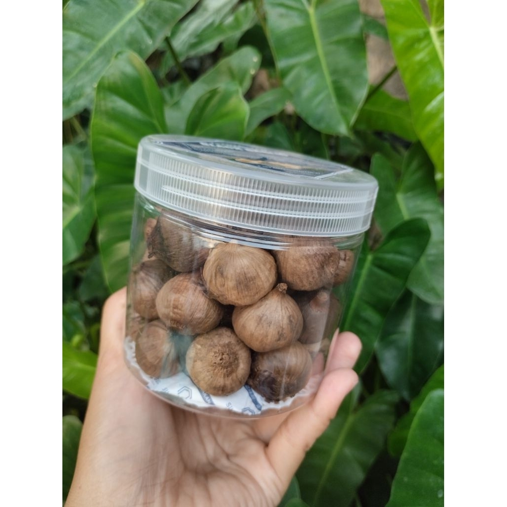 

bawang tunggal blackgarlic bawang herbal